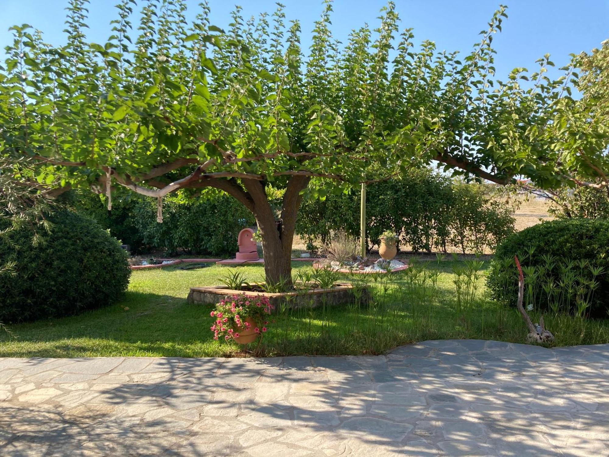Marianna Sea View Afitos Apartment Екстериор снимка